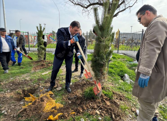 ТҮРКІСТАН: Сайрамда ағаш көшеттері отырғызылды