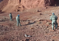 Голан биіктіктерінде қазақстандық саперлар 1200-ден астам жарылғышты жойды