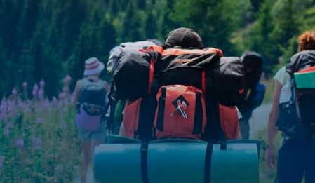 Экотуризм ерекше қарқынмен ілгерілеп келеді