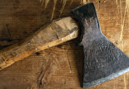 Алматыда оқушы қыз мектепке балтамен барған