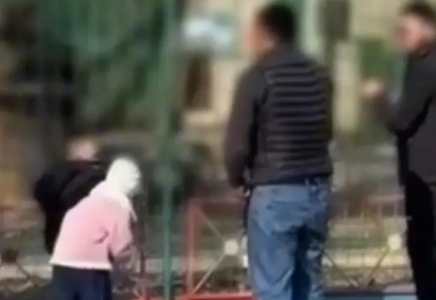 Семейде ересектер балалардың көзінше арыстандардың торына тас лақтырған