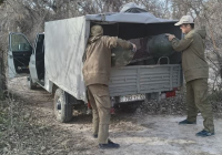 Түркістан облысында шіркейге қарсы ғылыми негіздегі мониторинг күшейтілді